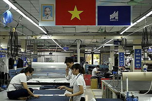 美國的下一個目標是越南？越南曾經吃進去的，現在可能要吐出來——企業管理咨詢視角解析