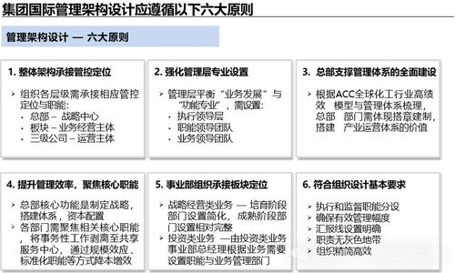 集團中長期管理戰(zhàn)略咨詢項目 管控體系詳細設(shè)計與企業(yè)管理優(yōu)化
