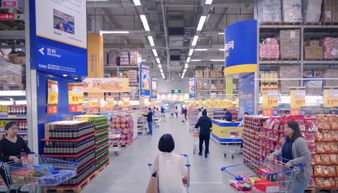 食字路口，守住安全——飲食服務中心開展食品安全培訓